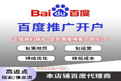 SEM服务在本地化营销中的应用案例